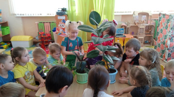 Знакомство с уходом за комнатными растениями Знакомство с уходом за комнатными растениями.